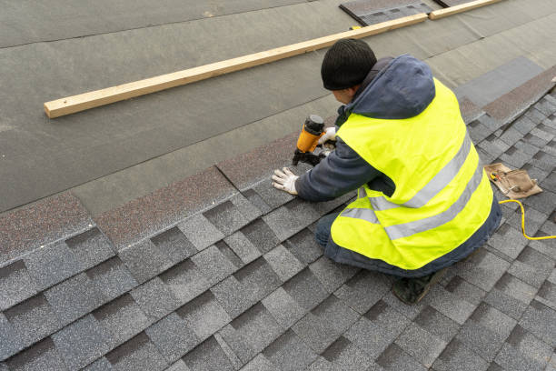 Best Metal Roofing Contractor  in Phoenix, IL